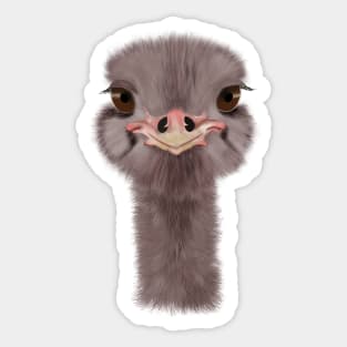 Ostrich head Sticker